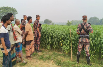মেহেরপুর সীমান্তে শিশুসহ ৪ জনকে পুশ-ইন চেষ্টা