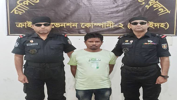 রাজবাড়ীতে ইয়াবাসহ মাদক ব্যবসায়ী গ্রেফতার