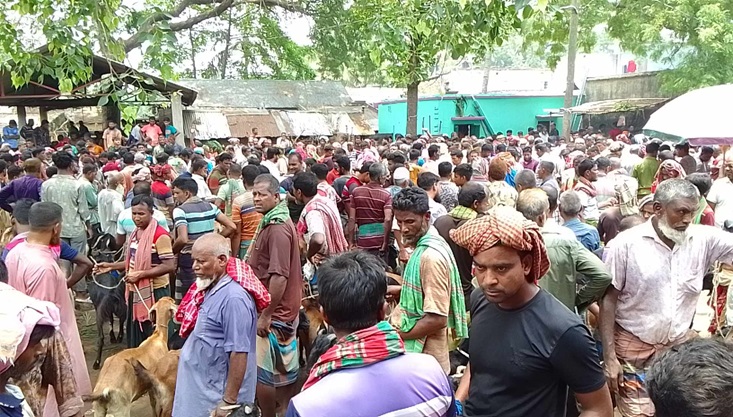 মেহেরপুরে জমে উঠেছে ছাগলের হাট, স্বস্তিতে নেই প্রান্তিক খামারিরা