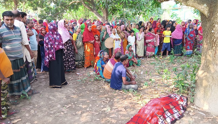 মুজিবনগরে ছেলের আত্মহত্যার শোকে মায়ের আত্মহত্যা